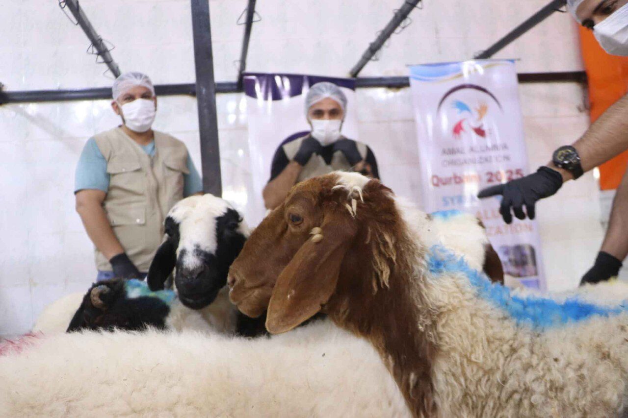 6033023523288632975_121