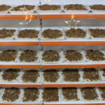 Warm Iftar in Ramadan